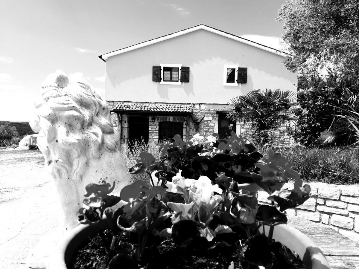 Rooms Agroturizam Romano Буйе Екстериор снимка